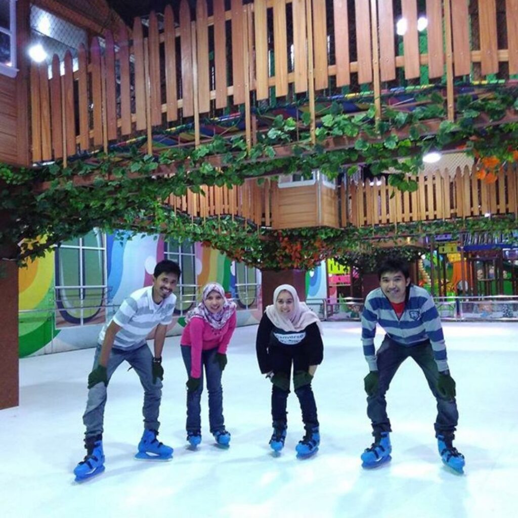 A commercial synthetic ice rink, is it profitable?